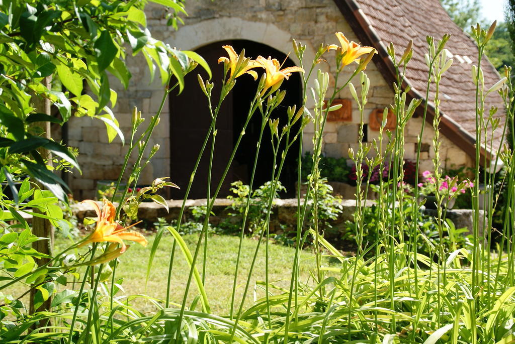 Au Mas De Gamet Bed & Breakfast Théminettes Екстериор снимка