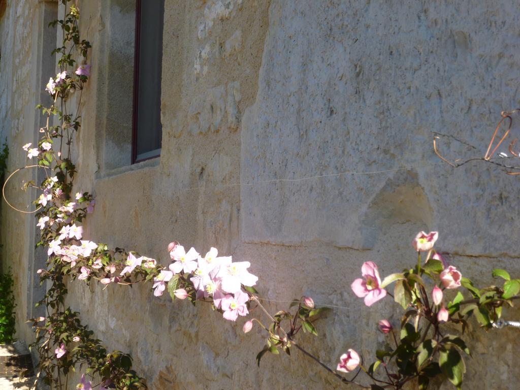 Au Mas De Gamet Bed & Breakfast Théminettes Екстериор снимка